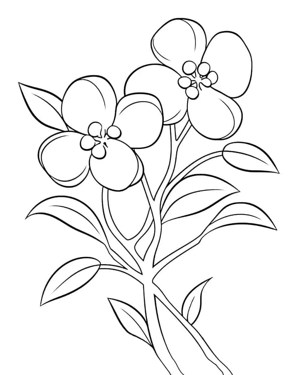 Spring Blossoms for Preschool Coloring Page - An easy-to-color page featuring blooming spring flowers perfect for preschool kids.