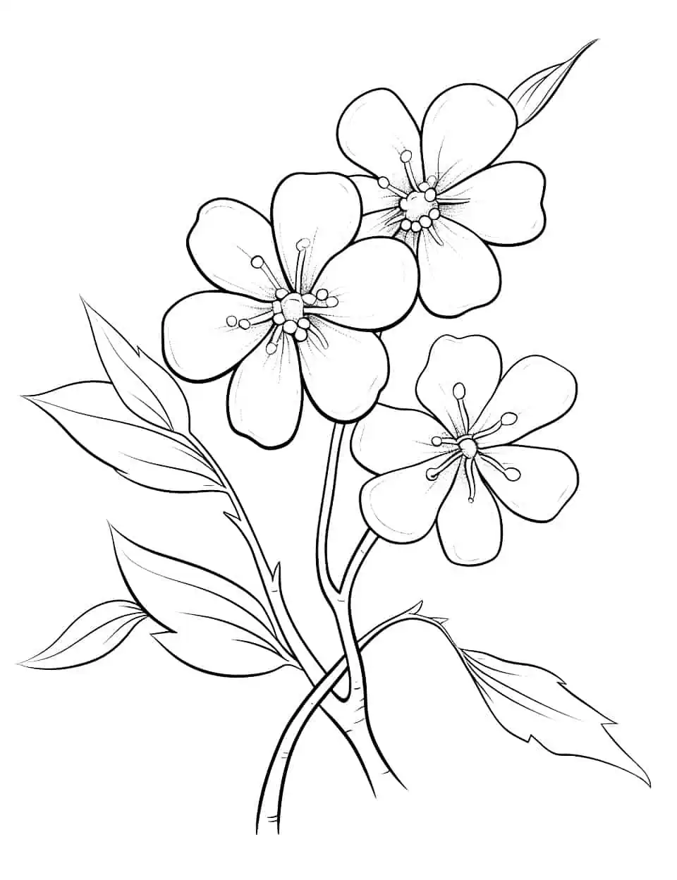 Blooming Cherry Blossoms Coloring Page - A detailed coloring page of cherry blossoms blooming, perfect for older children.