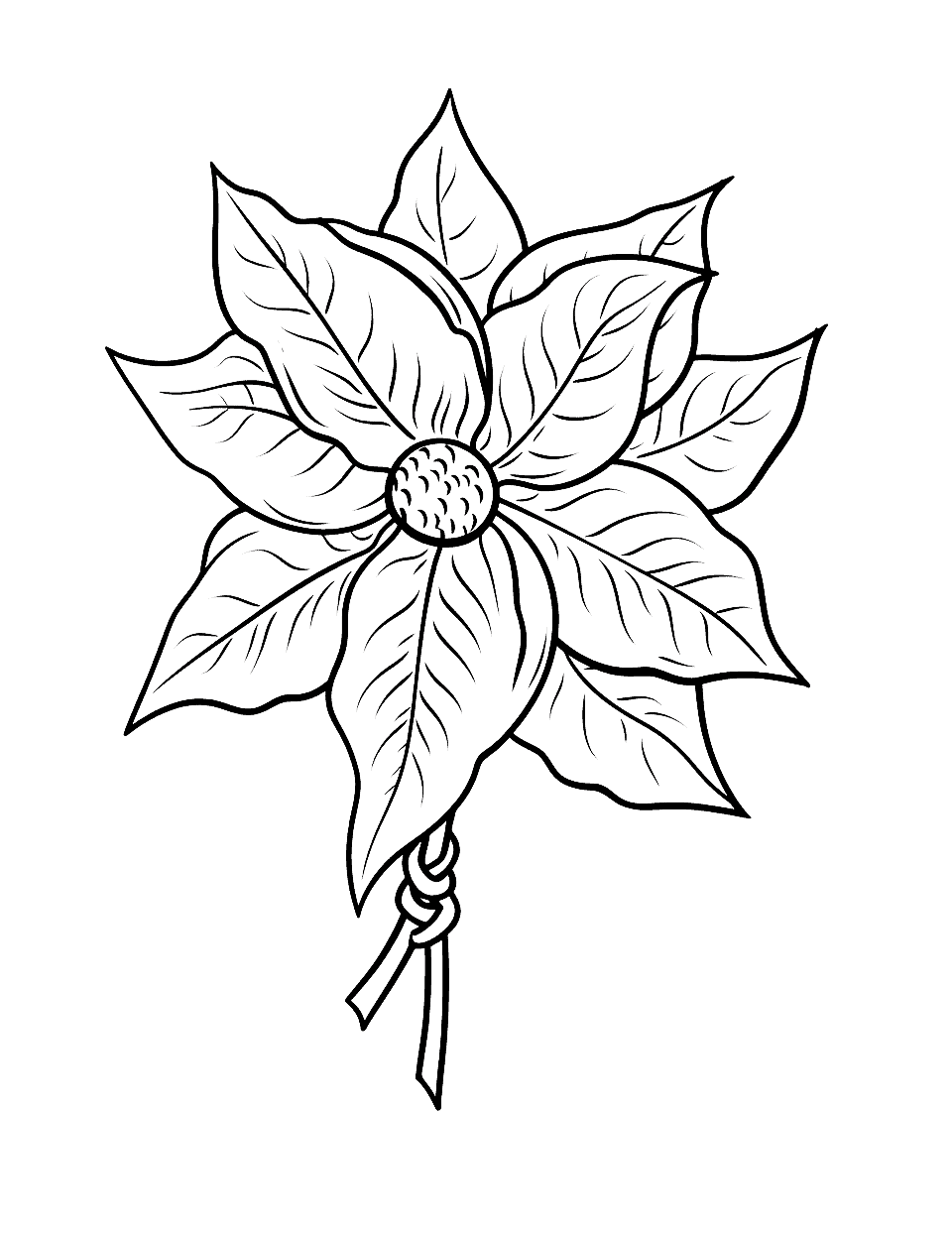 Poinsettia Plant Christmas Coloring Page - A detailed poinsettia plant, a popular Christmas flower.