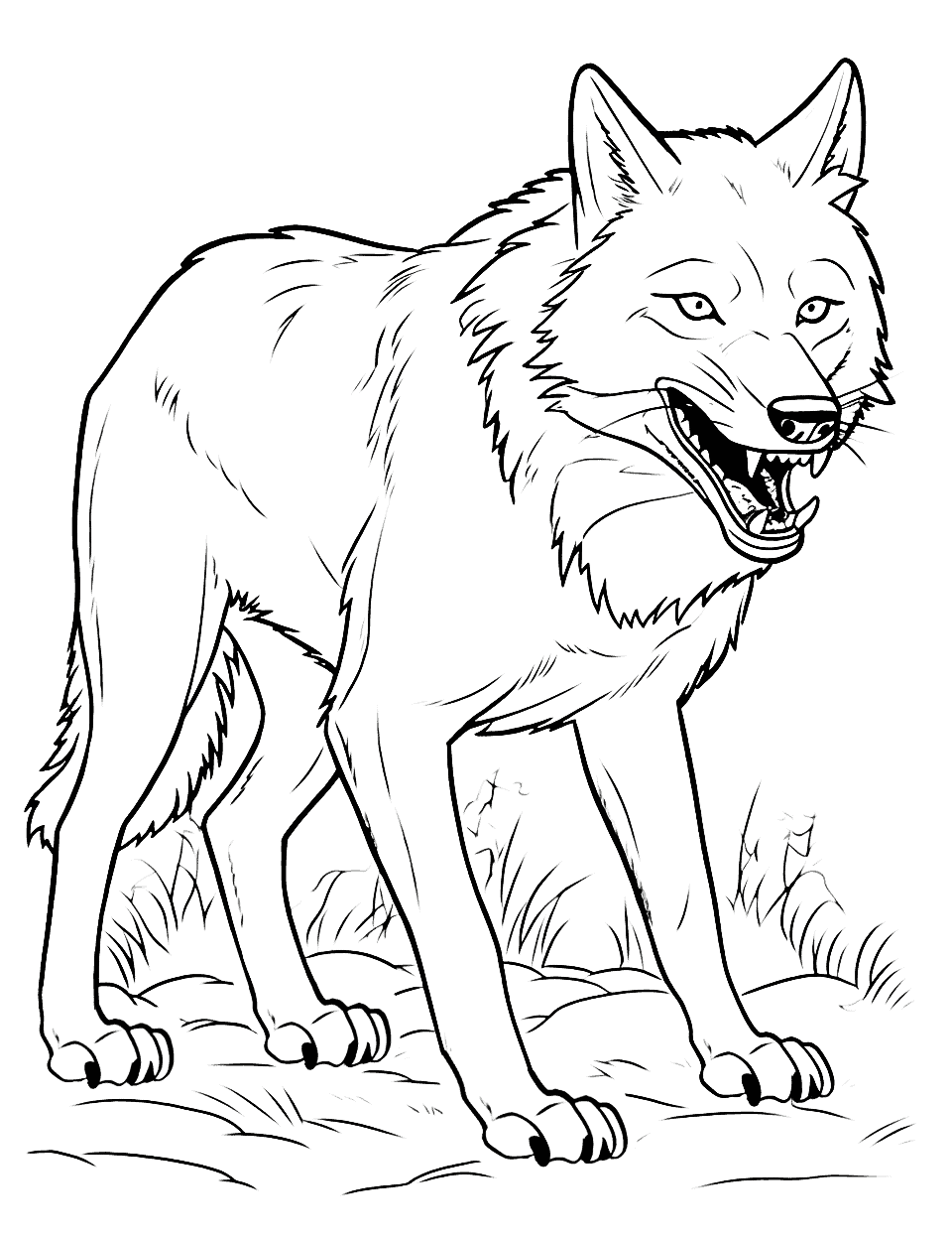 Angry Wolf Standoff Coloring Page - A wolf showing its teeth, protecting its territory from an intruder.