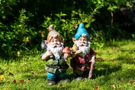Two garden dwarves standing on sunny lawn