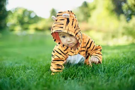 Cute little boy in tiger costume sitting on grass at the park