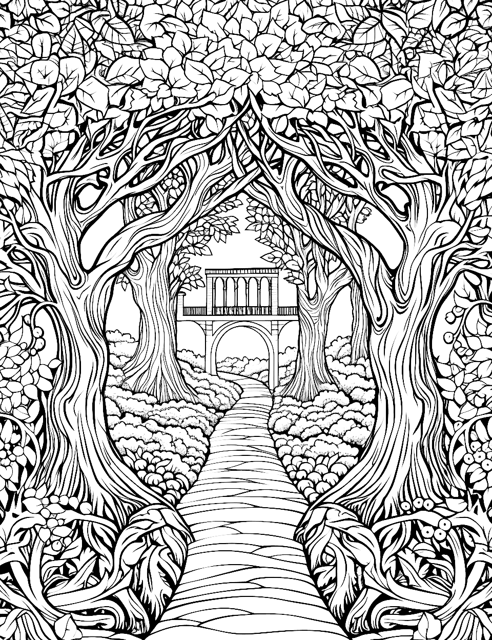Enchanted Forest Path Adult Coloring Page - Trees arch overhead on a winding path.