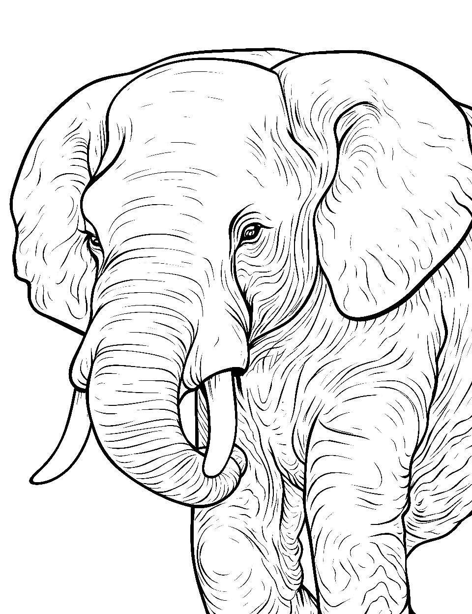 Detailed Elephant Texture Coloring Page - A close-up view showcasing the textured skin of an elephant.