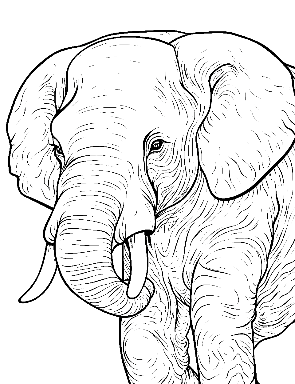 coloring pages of elephants