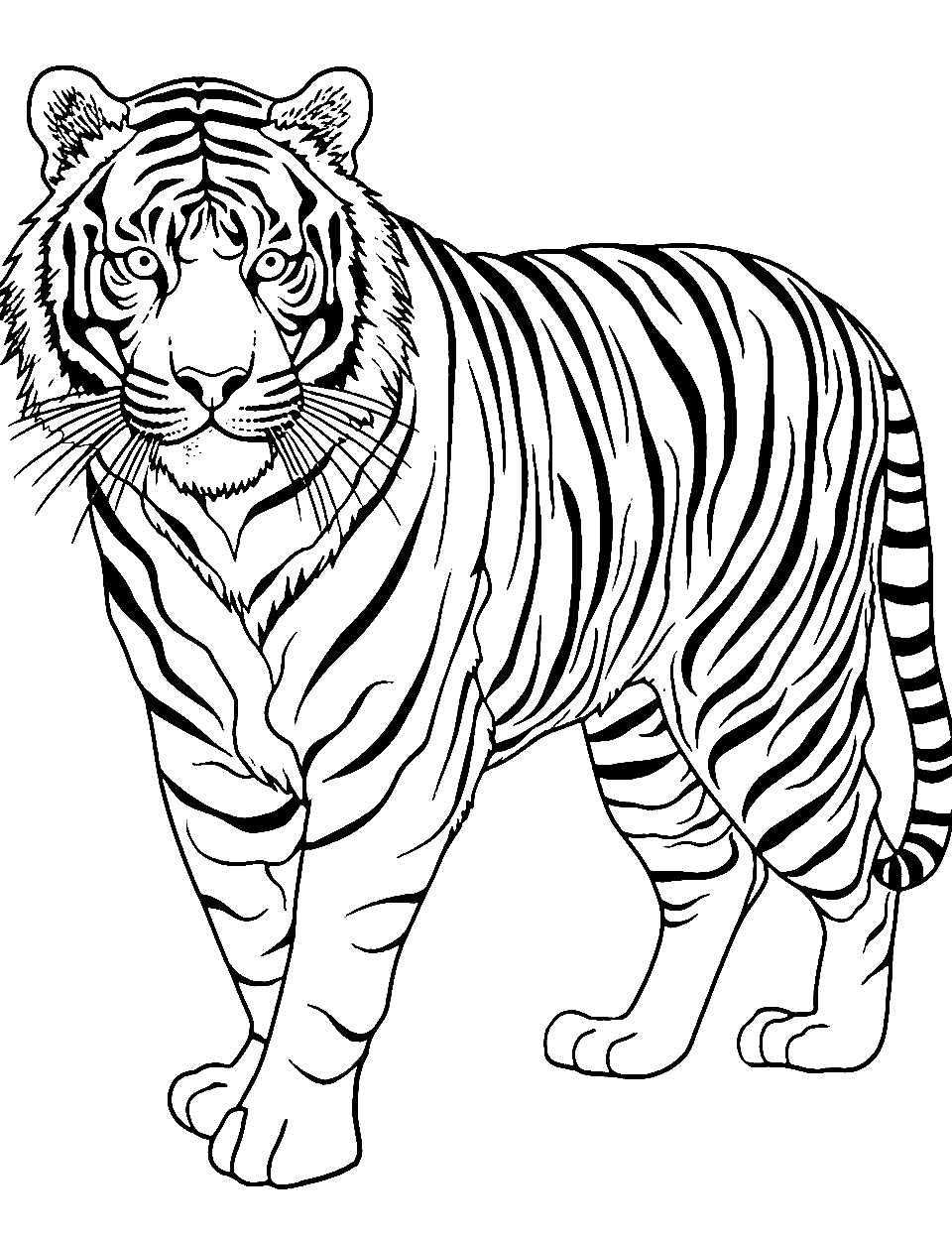 Sumatran Stripes Tiger Coloring Page - The unique Sumatran tiger, with its distinct stripe pattern.