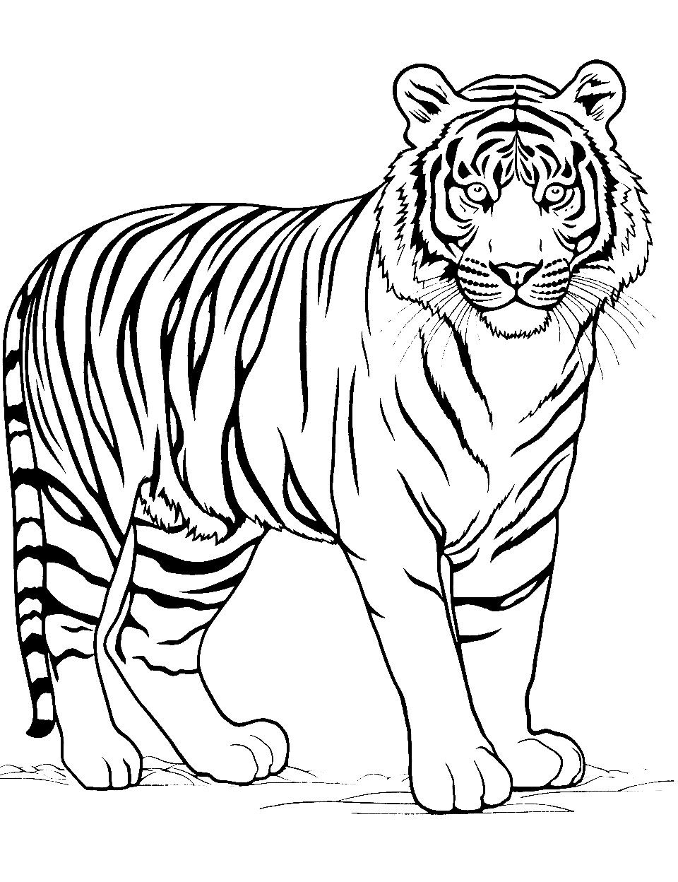 Extinct Caspian Beauty Coloring Page - The Caspian tiger showcasing its once-majestic beauty.