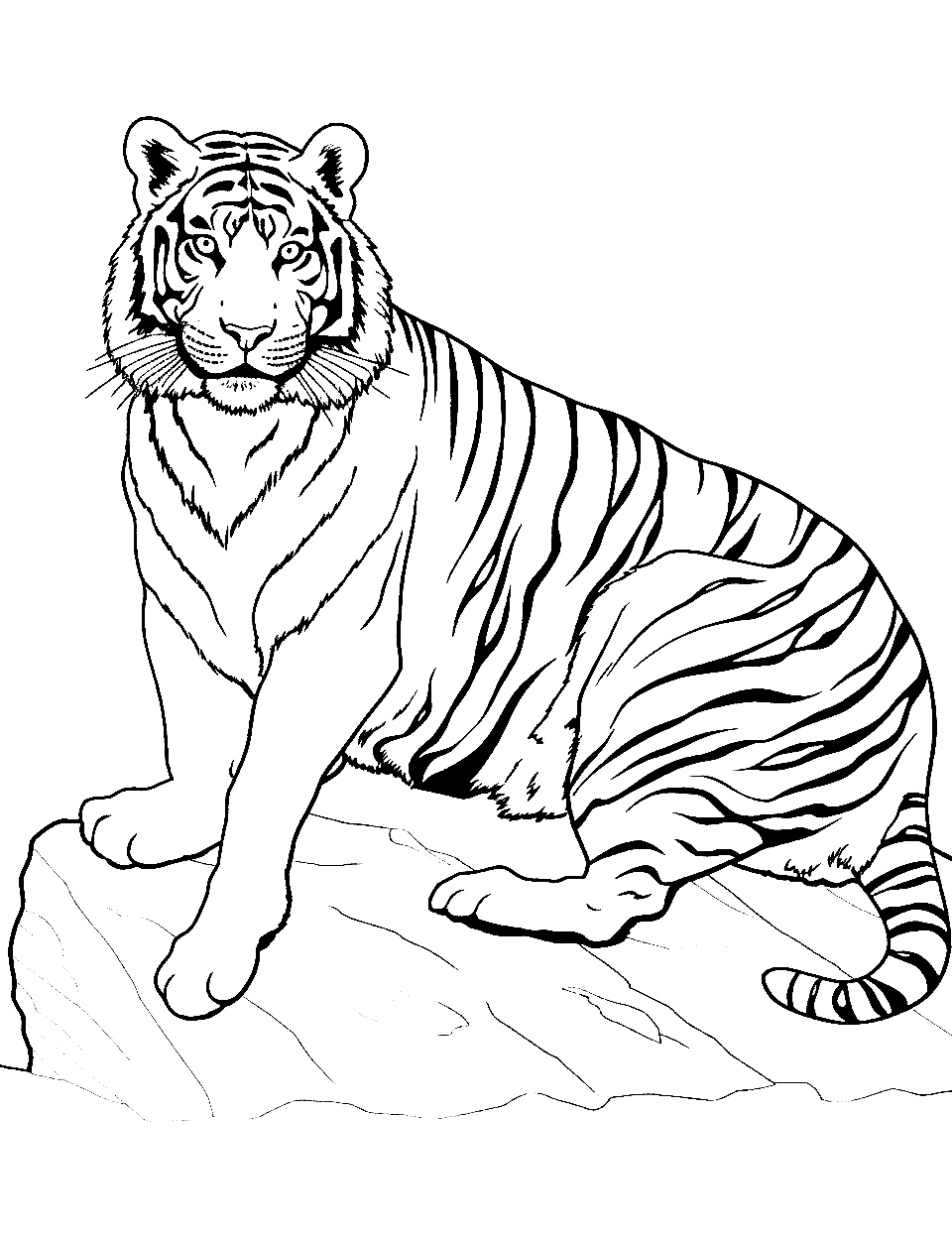 Tiger on the Rock Coloring Page - A majestic tiger is sunbathing atop a large rock.