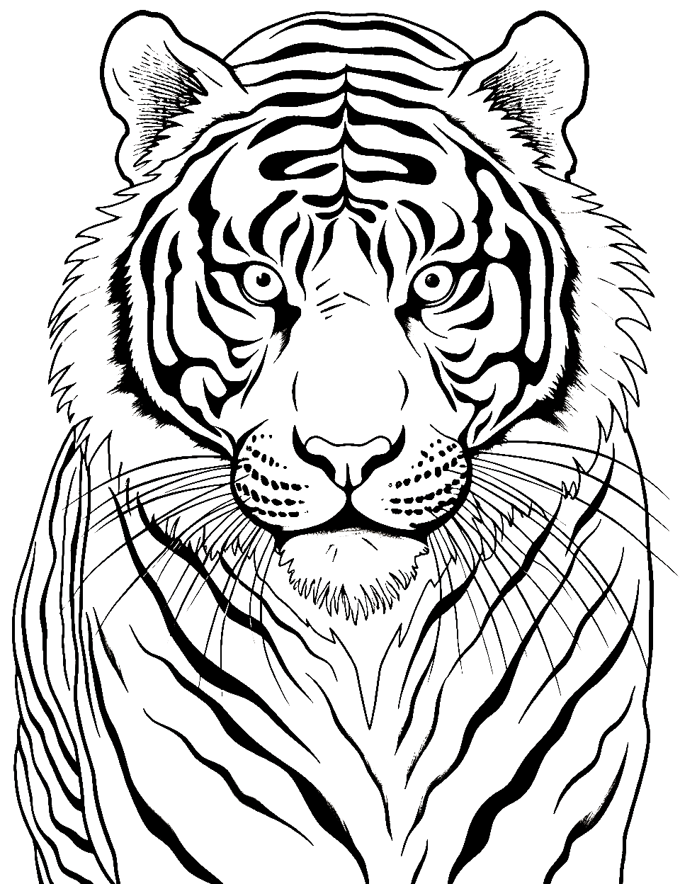 Whisker Wonders Coloring Page - A close-up focusing on the long whiskers of a tiger.