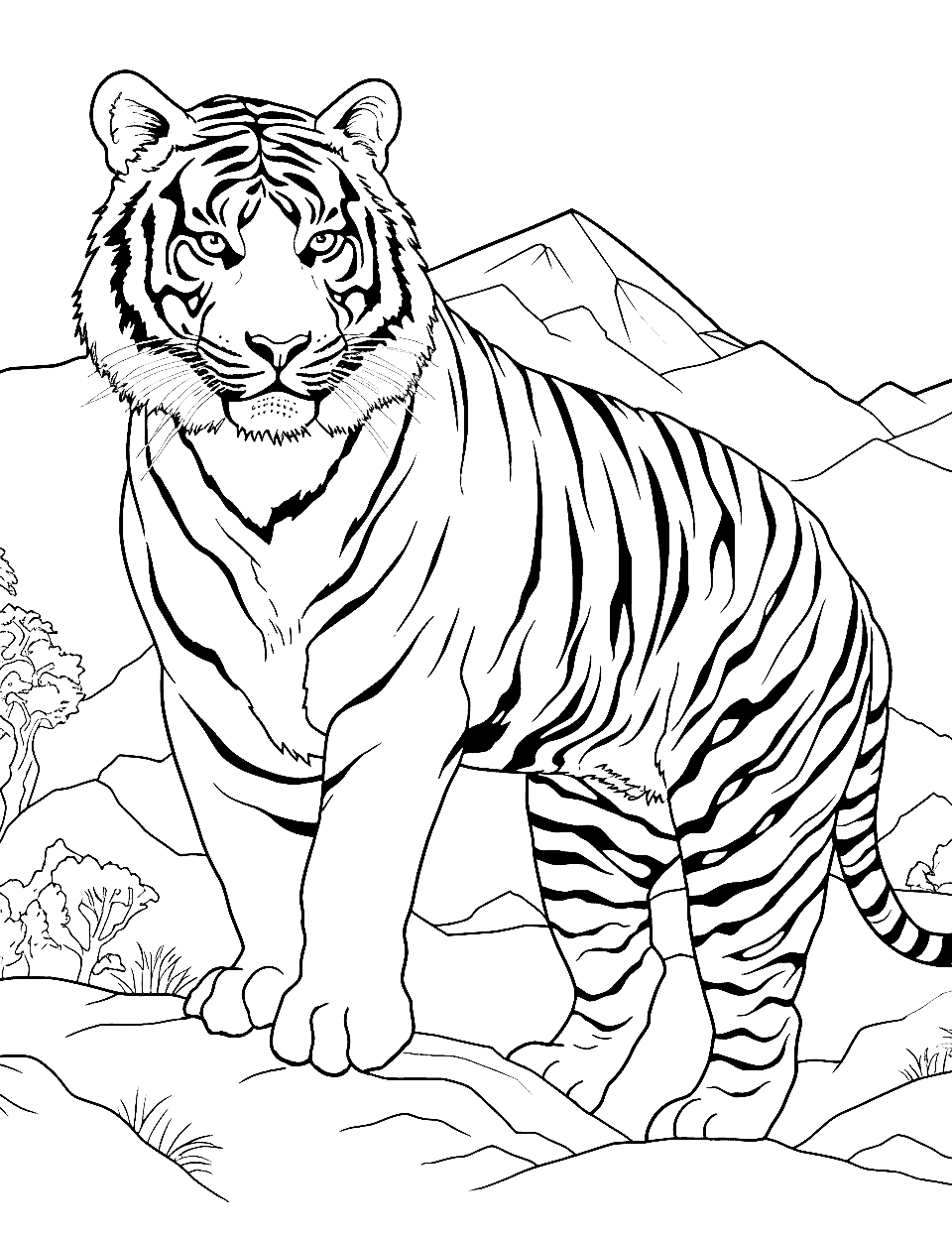 Mountainous Retreat Tiger Coloring Page - A tiger overlooking a valley from a mountain perch.