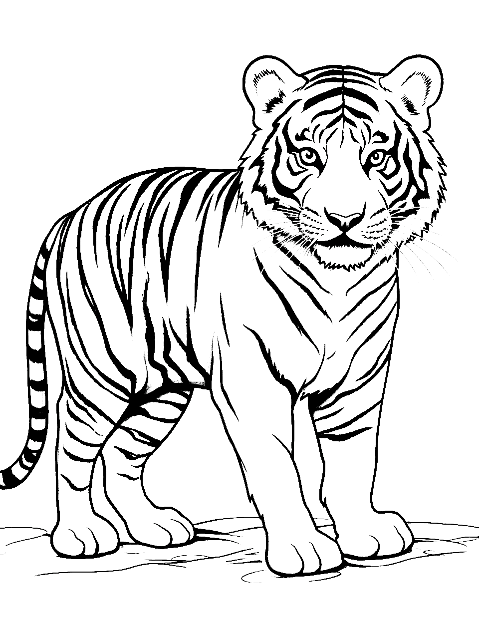 Eager Eyes Tiger Coloring Page - A tiger cub with wide eyes spotting something interesting.