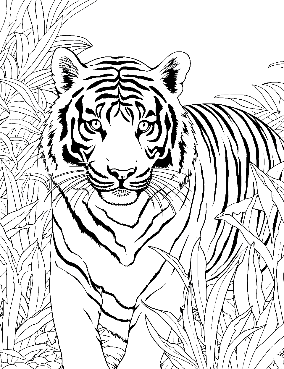 Jungle's Edge Tiger Coloring Page - A tiger peering out from the dense foliage of a rainforest.