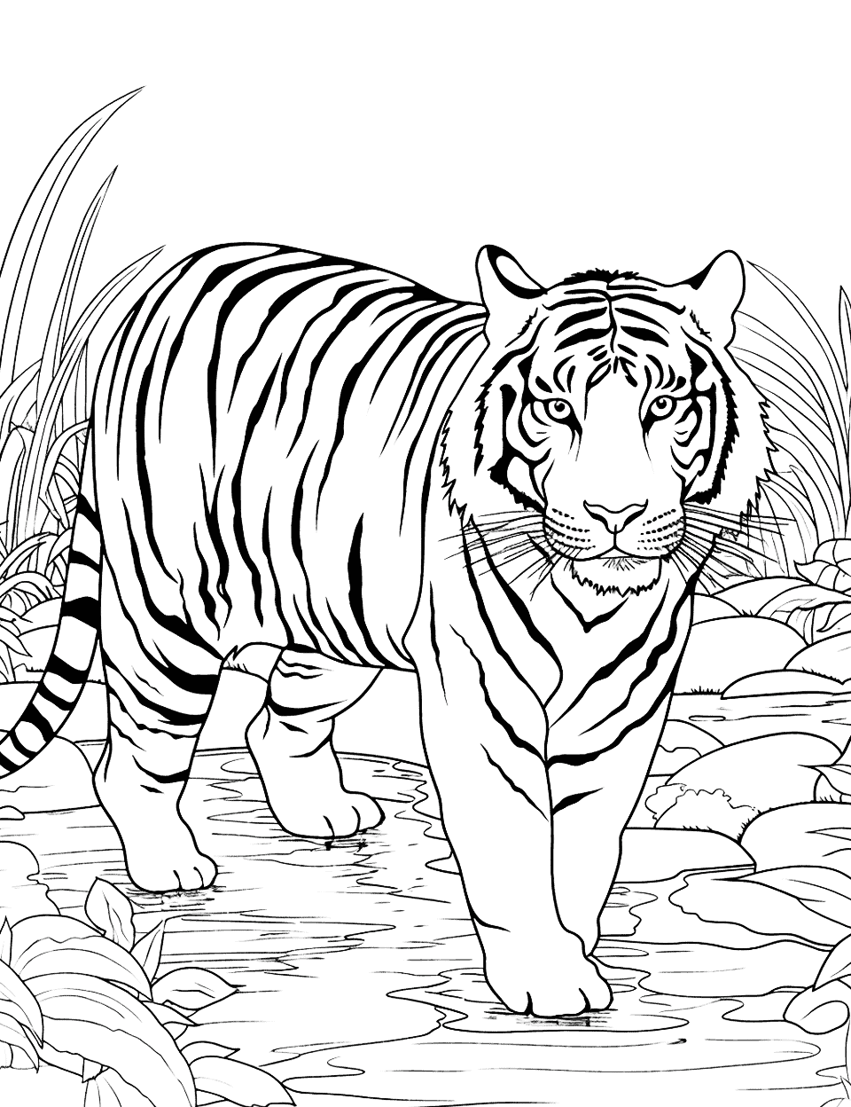 River Crossing Tiger Coloring Page - A tiger cautiously crossing a shallow jungle river.