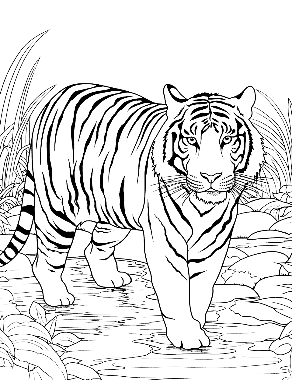 River Crossing Tiger Coloring Page - A tiger cautiously crosses a shallow jungle river.