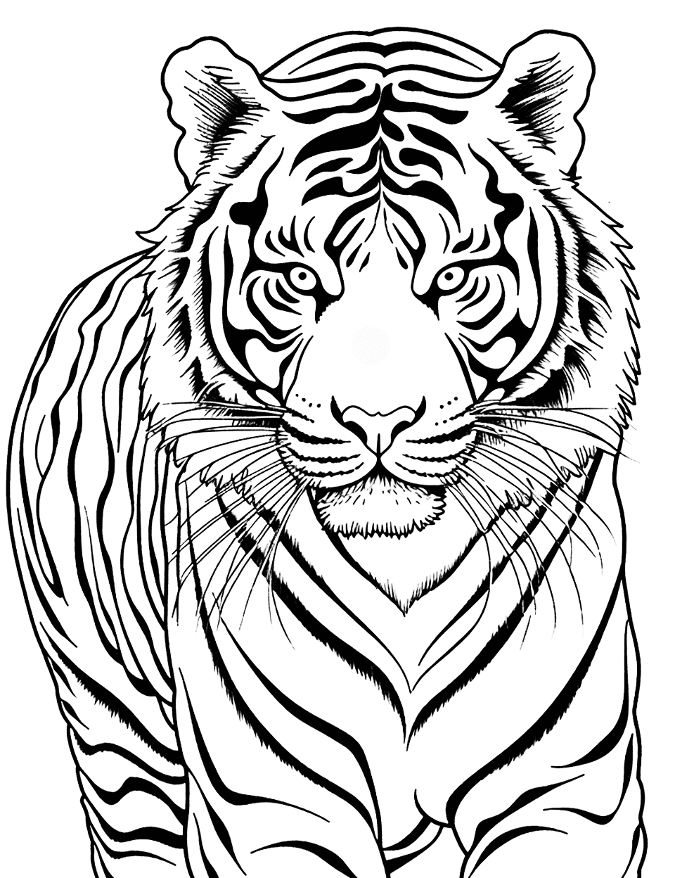 Detailed Siberian Tiger Coloring Page - A meticulous portrayal of a Siberian tiger, highlighting its stripes and features.