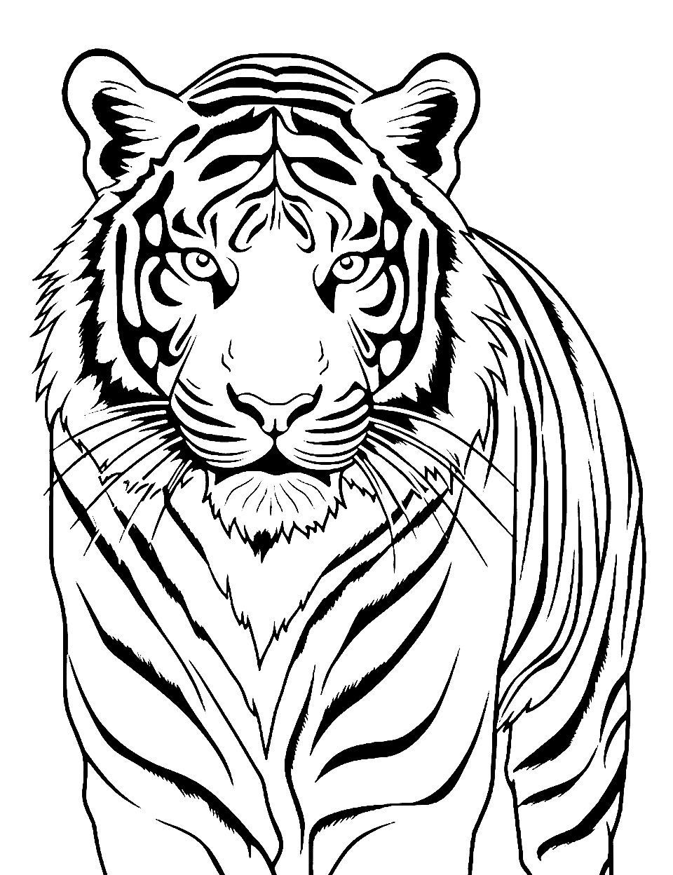 Easy Tiger Face Coloring Page - A close-up of a tiger’s face, focusing on its eyes and whiskers.