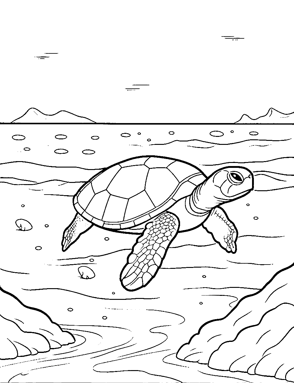 Turtle on the Shore Coloring Page - A turtle returning to the shore after a swim in a lake.