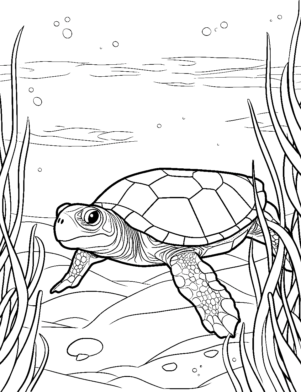 Hidden Turtle Coloring Page - A turtle peeking out from under a leaf in water.