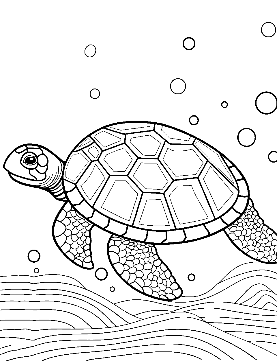 Pretty Shell Patterns Turtle Coloring Page - A turtle with intricate patterns on its shell awaiting colorful details.