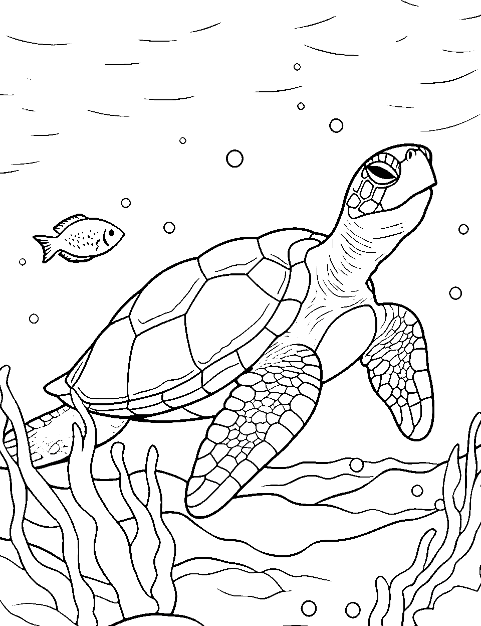 Sea Turtle Adventure Coloring Page - A sea turtle gliding gracefully underwater amidst the coral.