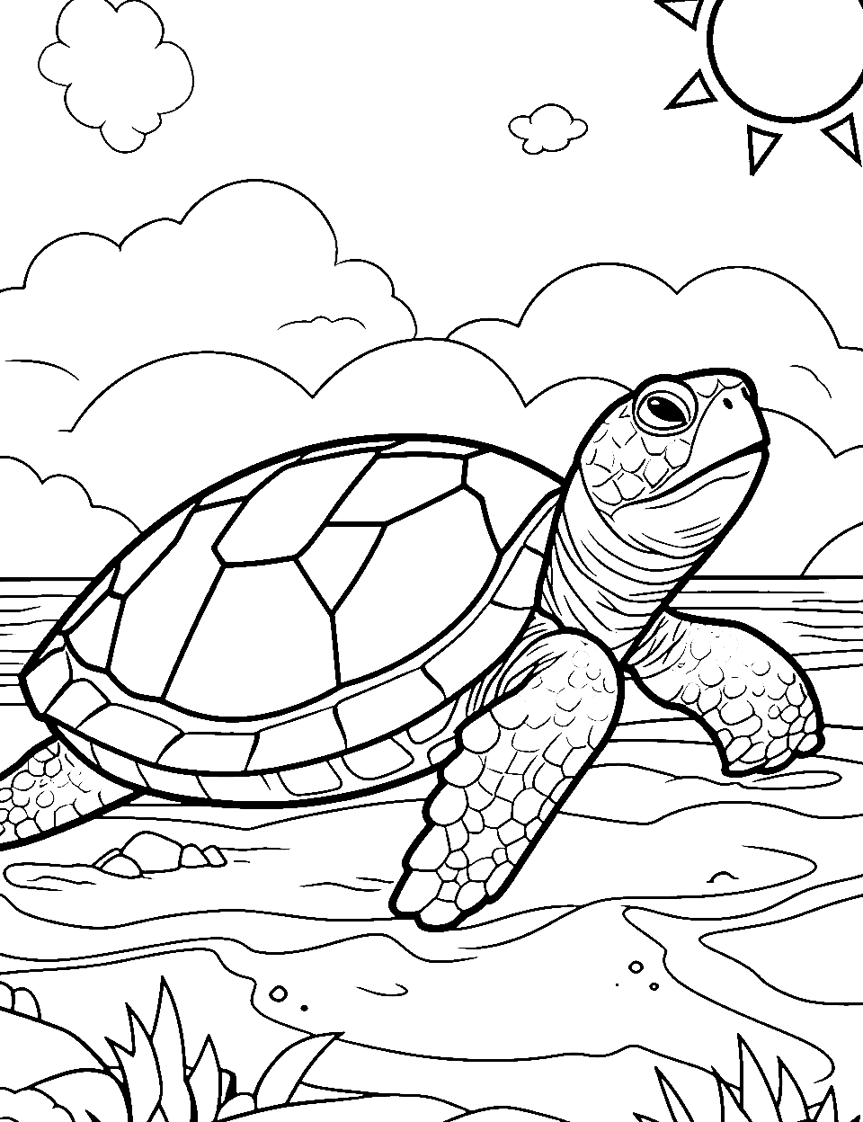 Slider Turtle's Sunbath Coloring Page - A slider turtle soaking up the sun.