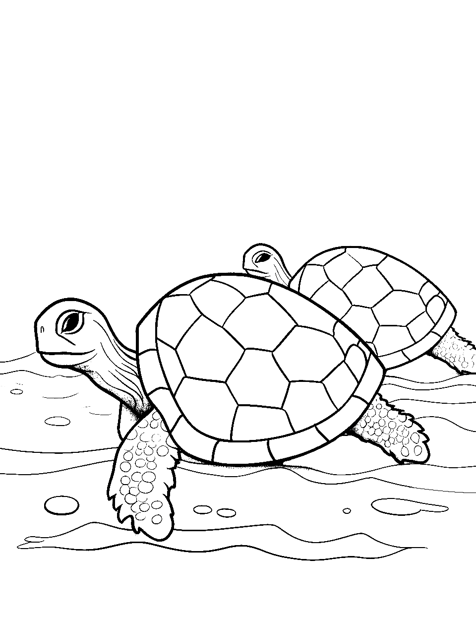 Turtle Parade Coloring Page - Several turtles, one after another, heading towards a refreshing pond.