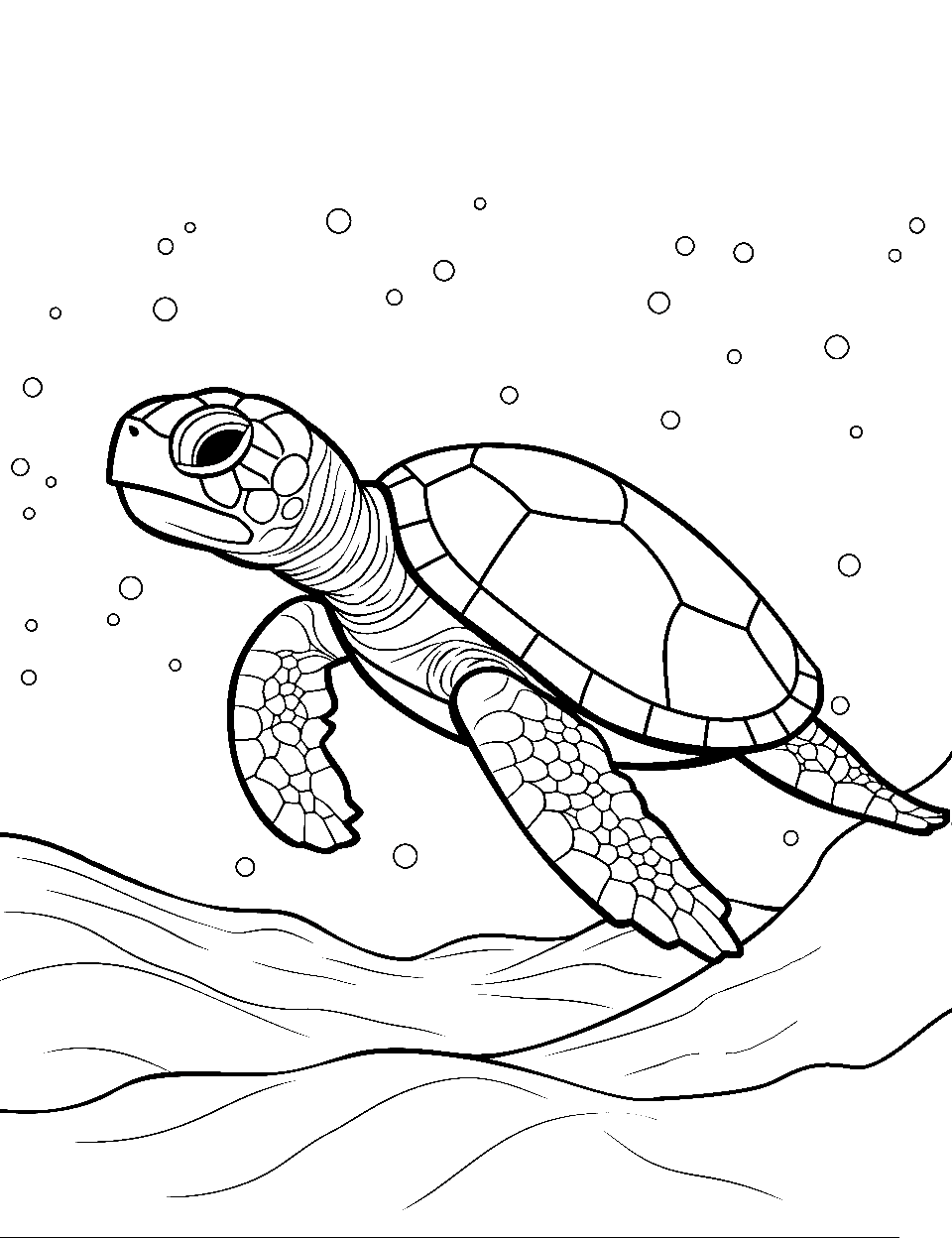 Little Turtle, Big World Coloring Page - A small turtle looking out into a vast ocean.