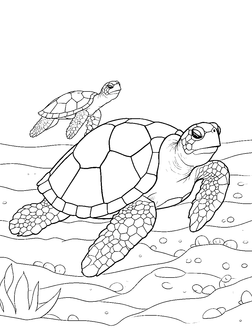 Turtle Family Outing Coloring Page - A turtle and its baby out for a swim on the ocean floor.