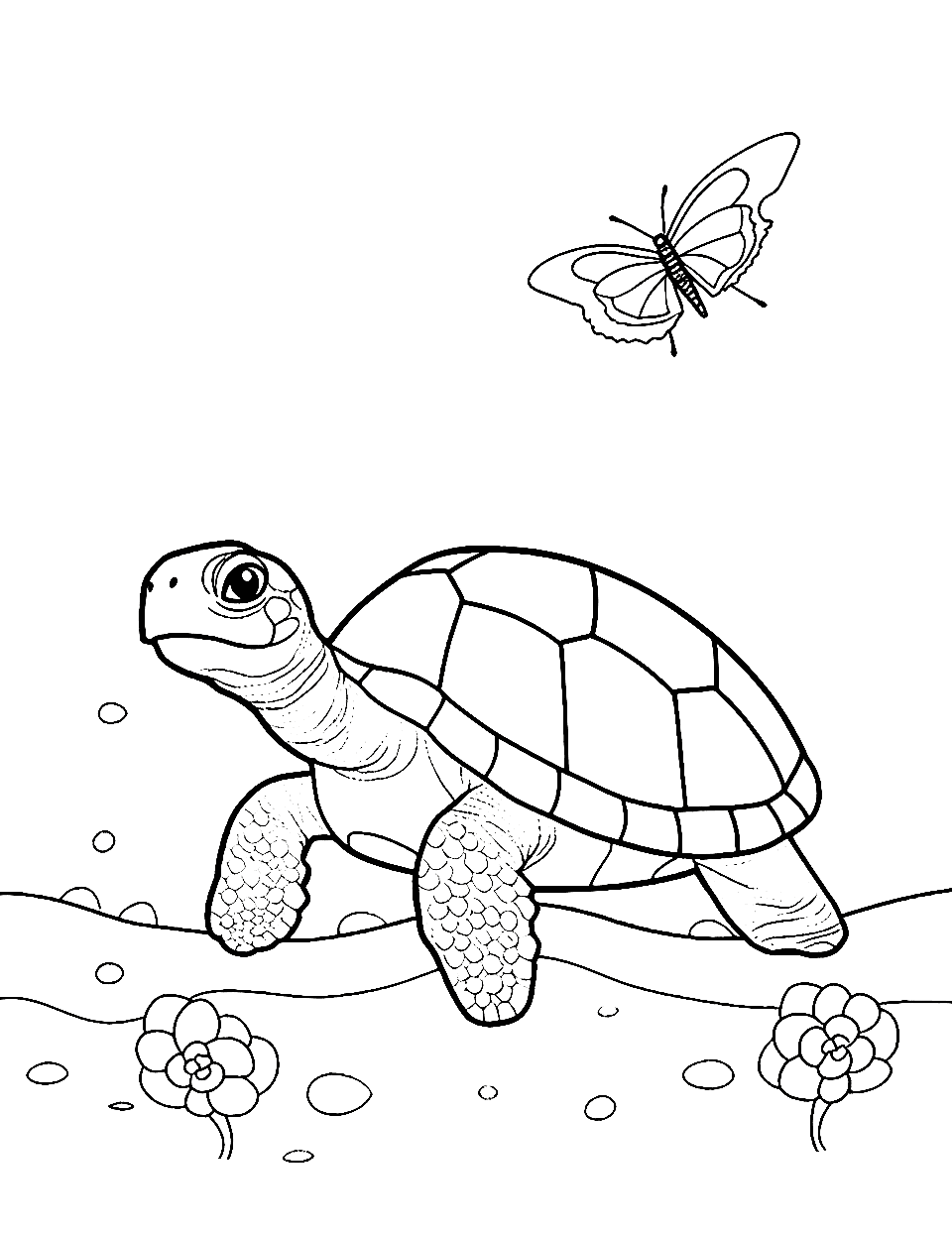 Turtle and Butterfly Coloring Page - A butterfly flying around a turtle creating a serene moment.