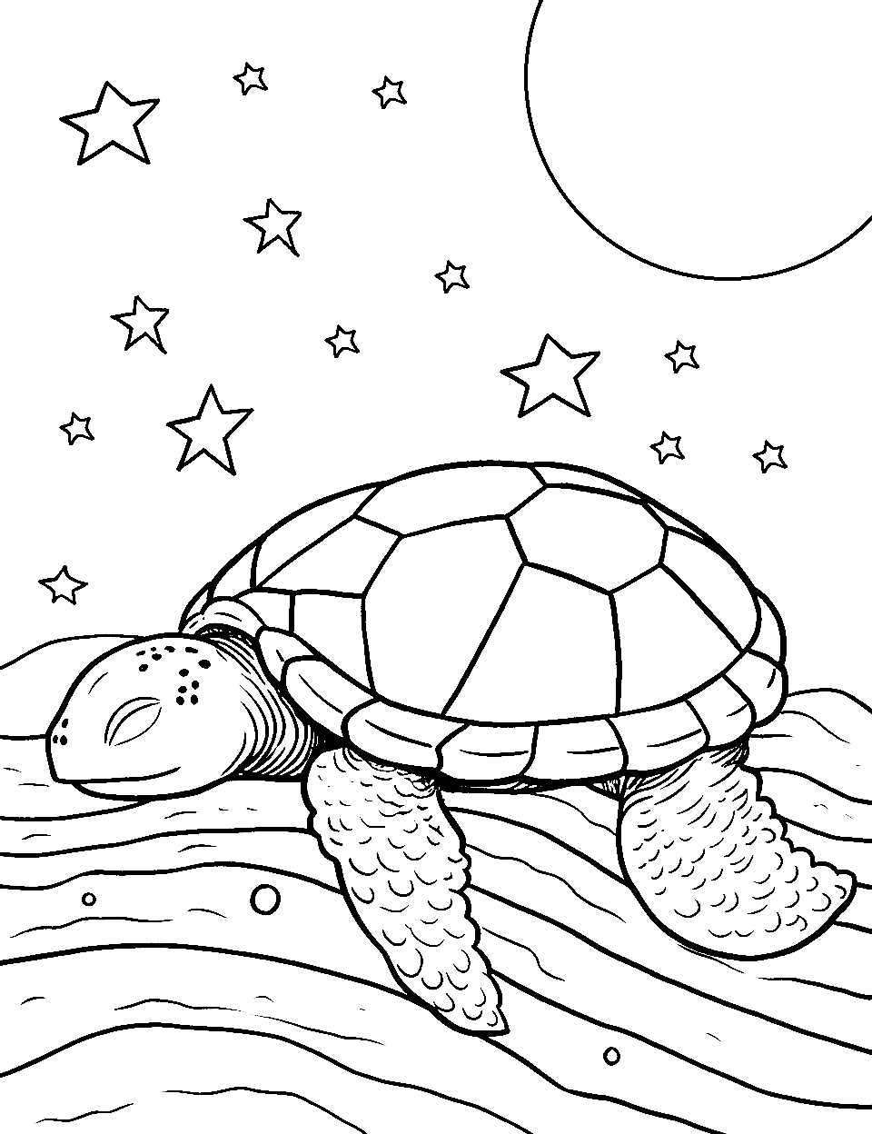 Starry Night Sleep Coloring Page - A turtle sleeping under a sky full of stars.