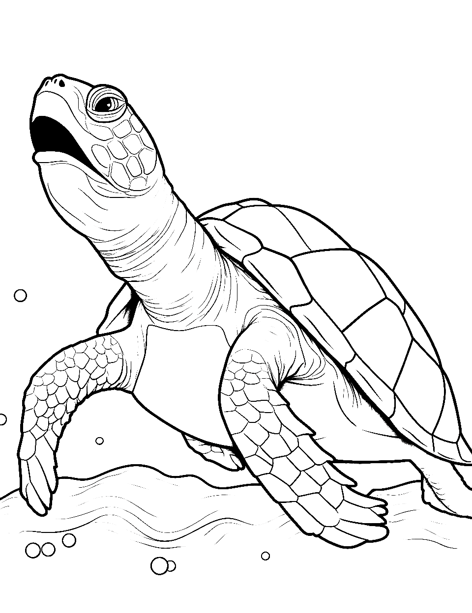 Turtle's Big Yawn Coloring Page - A turtle yawning wide, looking sleepy.