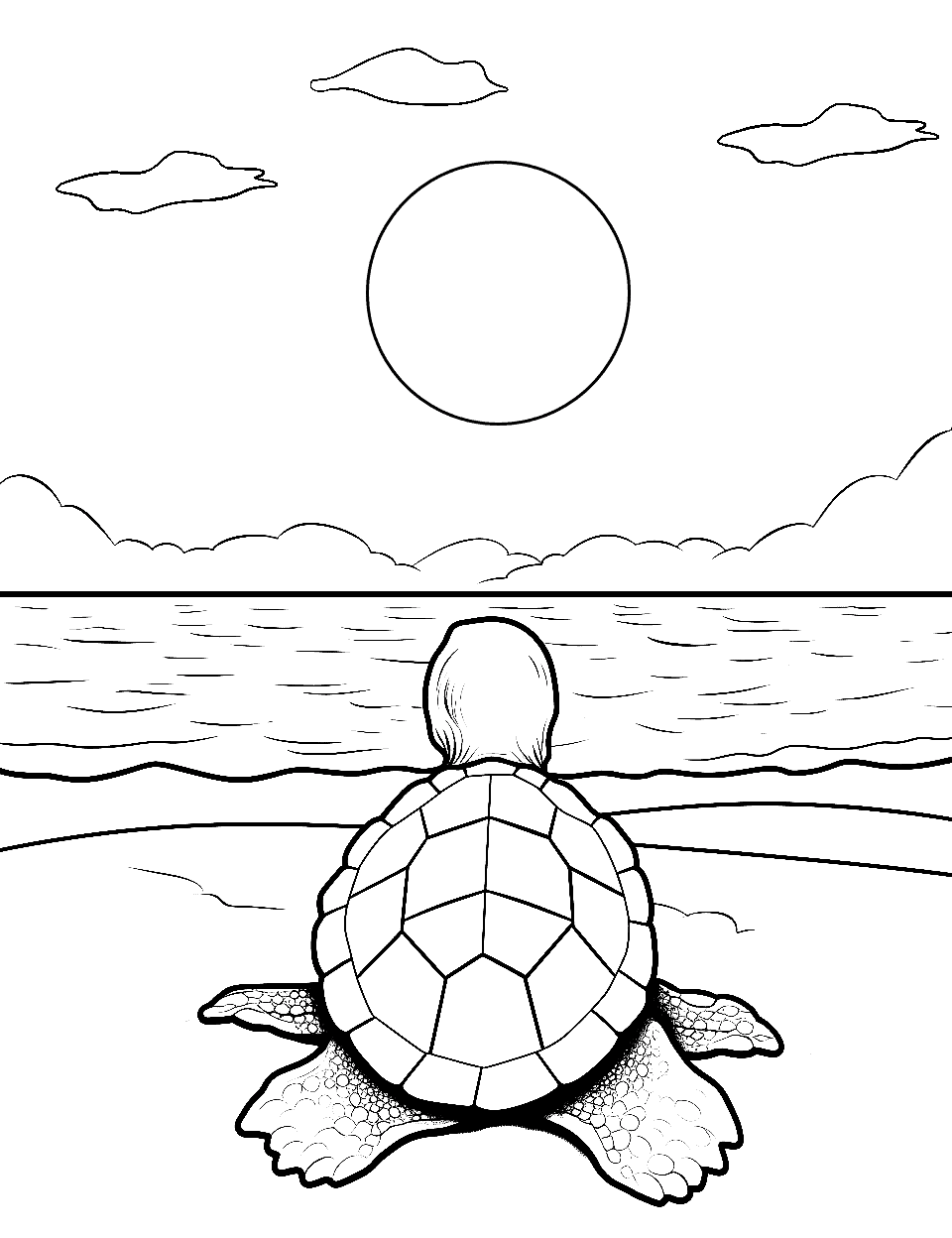 Sunrise Viewing Turtle Coloring Page - A turtle watching the sunrise.