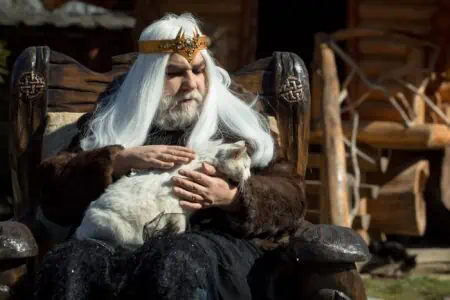 Old druid with long grey hair beard with crown in fur coat holding cat