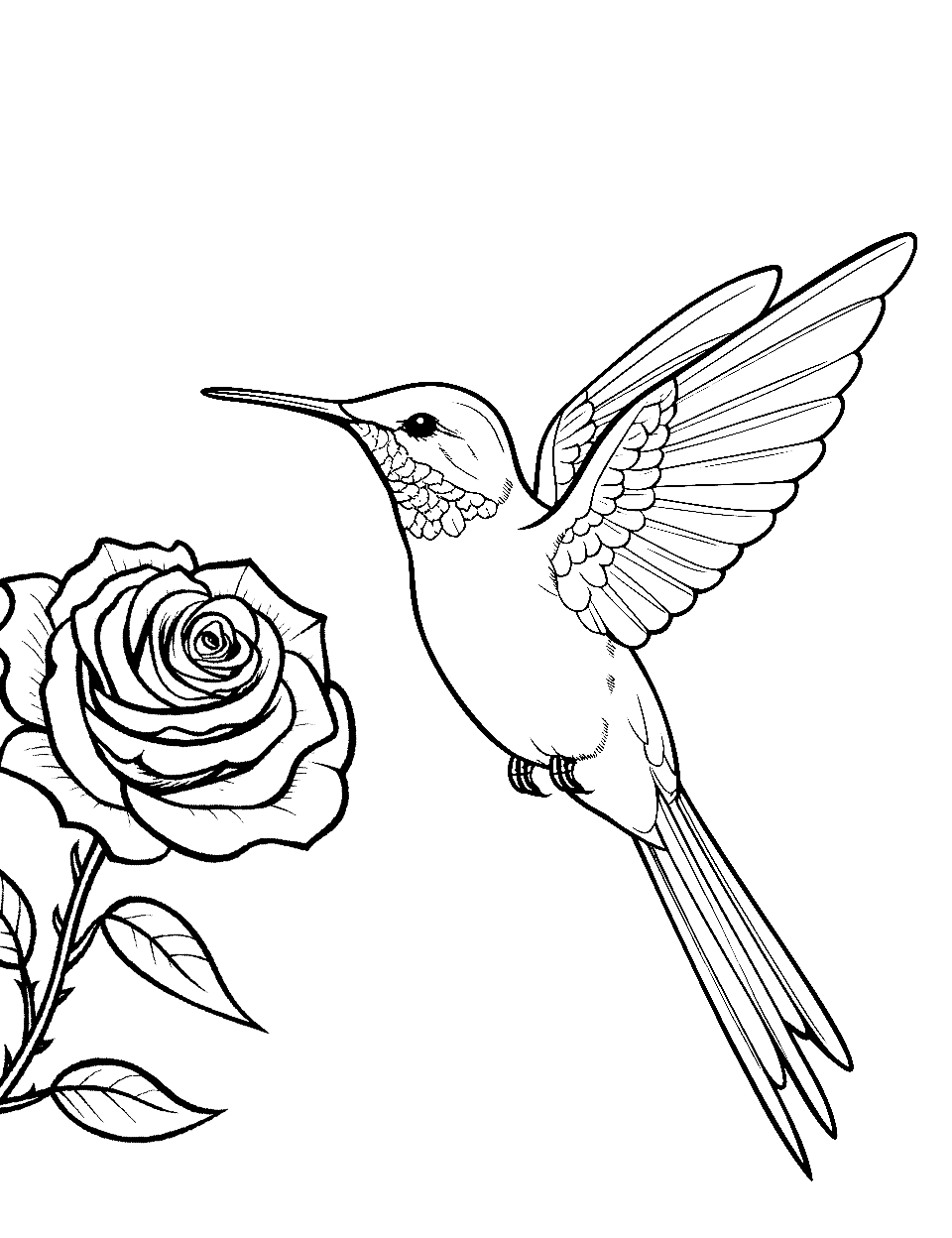 Flower and Hummingbird Bird Coloring Page - A hummingbird delicately hovering by a blooming flower.