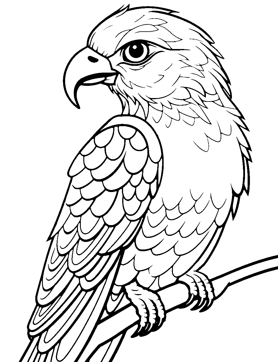 Falcon's Intense Stare Bird Coloring Page - A falcon is locking its sights on an unseen target.