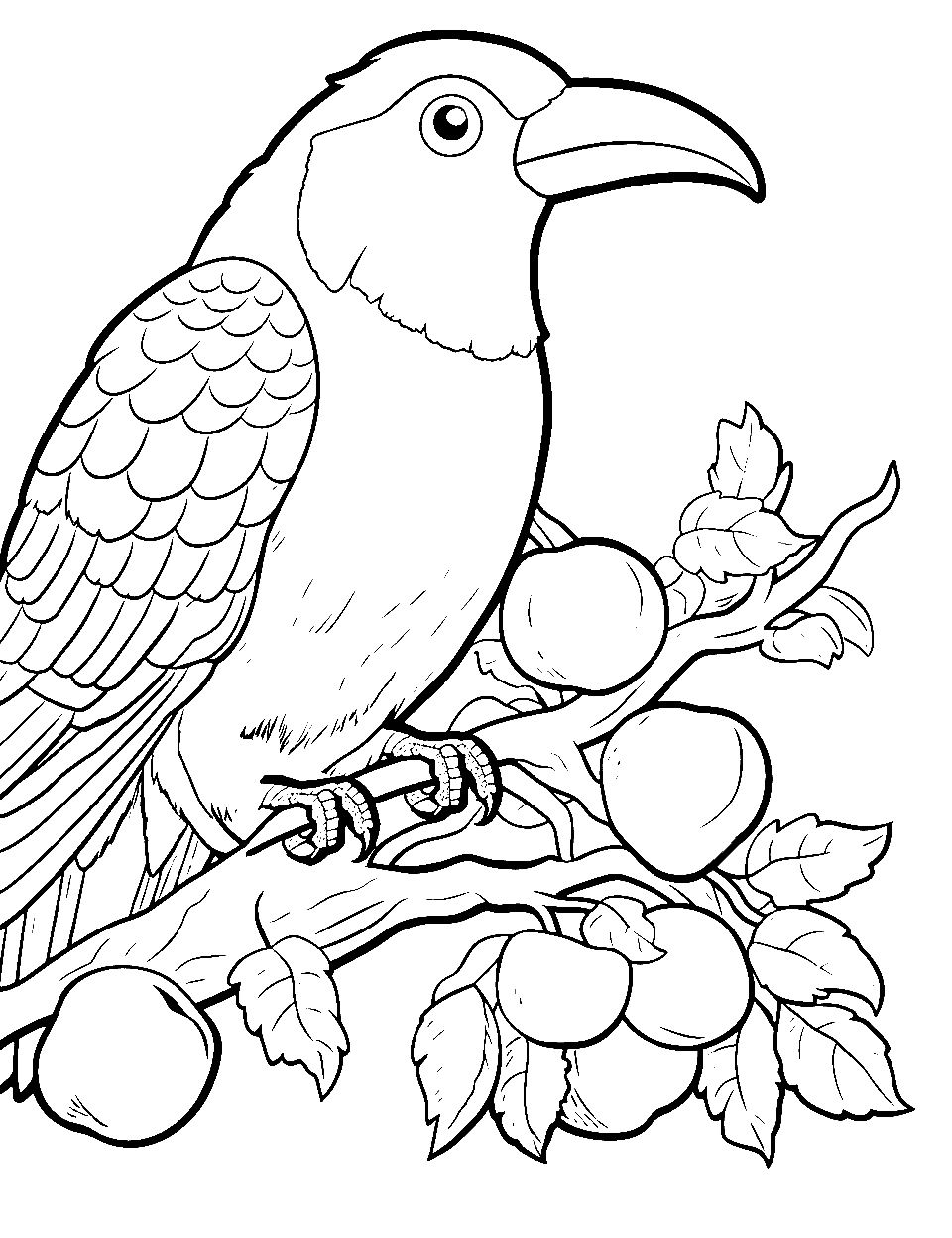 Toucan's Fruit Feast Coloring Page - A toucan on a branch of juicy fruits ready to be eaten.