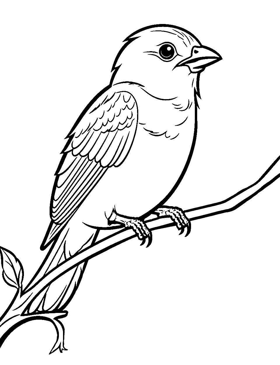 Sparrow's Morning Song Coloring Page - A sparrow perched on a branch, ready to sing its heart out.