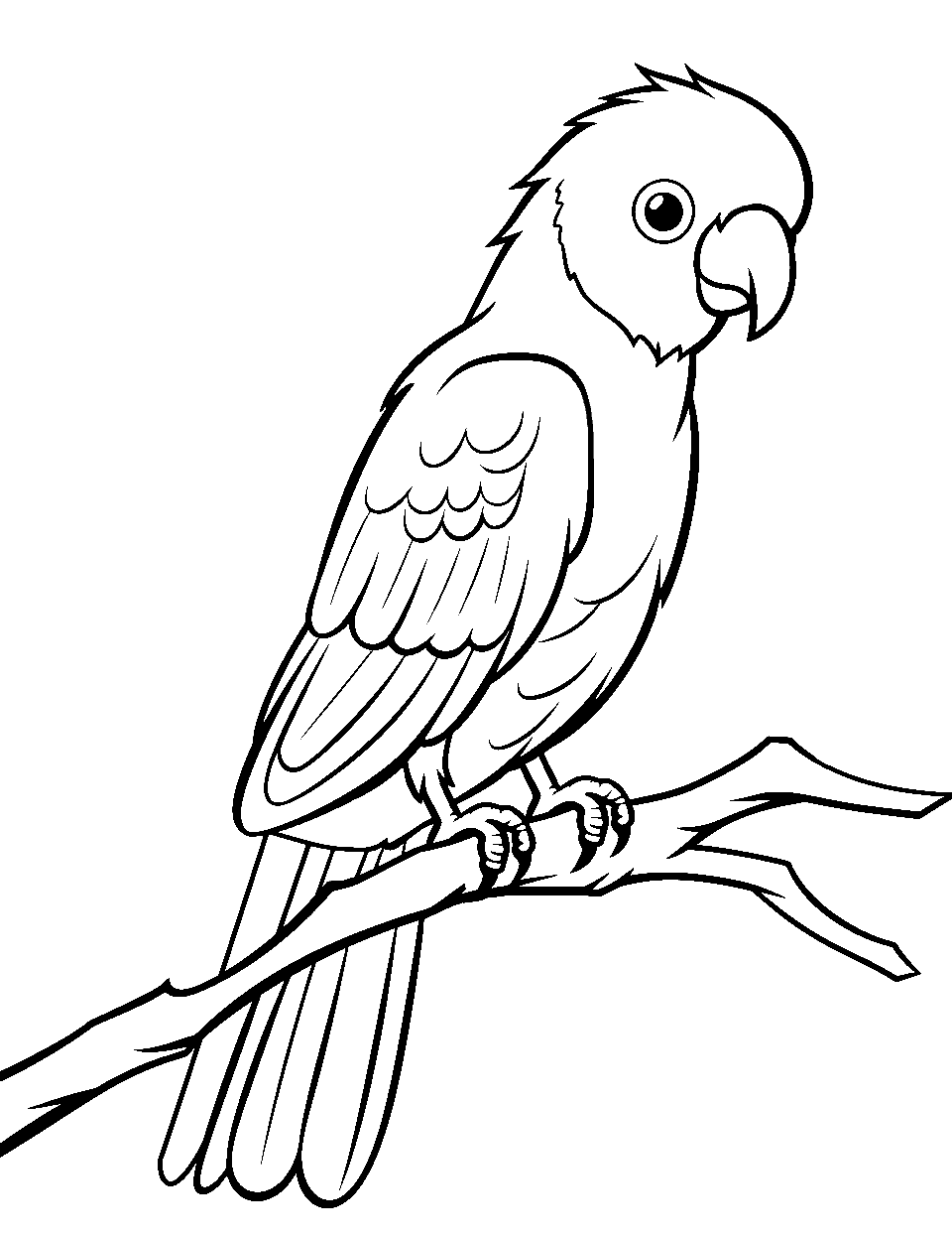 Parrot on a Branch Bird Coloring Page - A colorful parrot perched confidently on a branch.