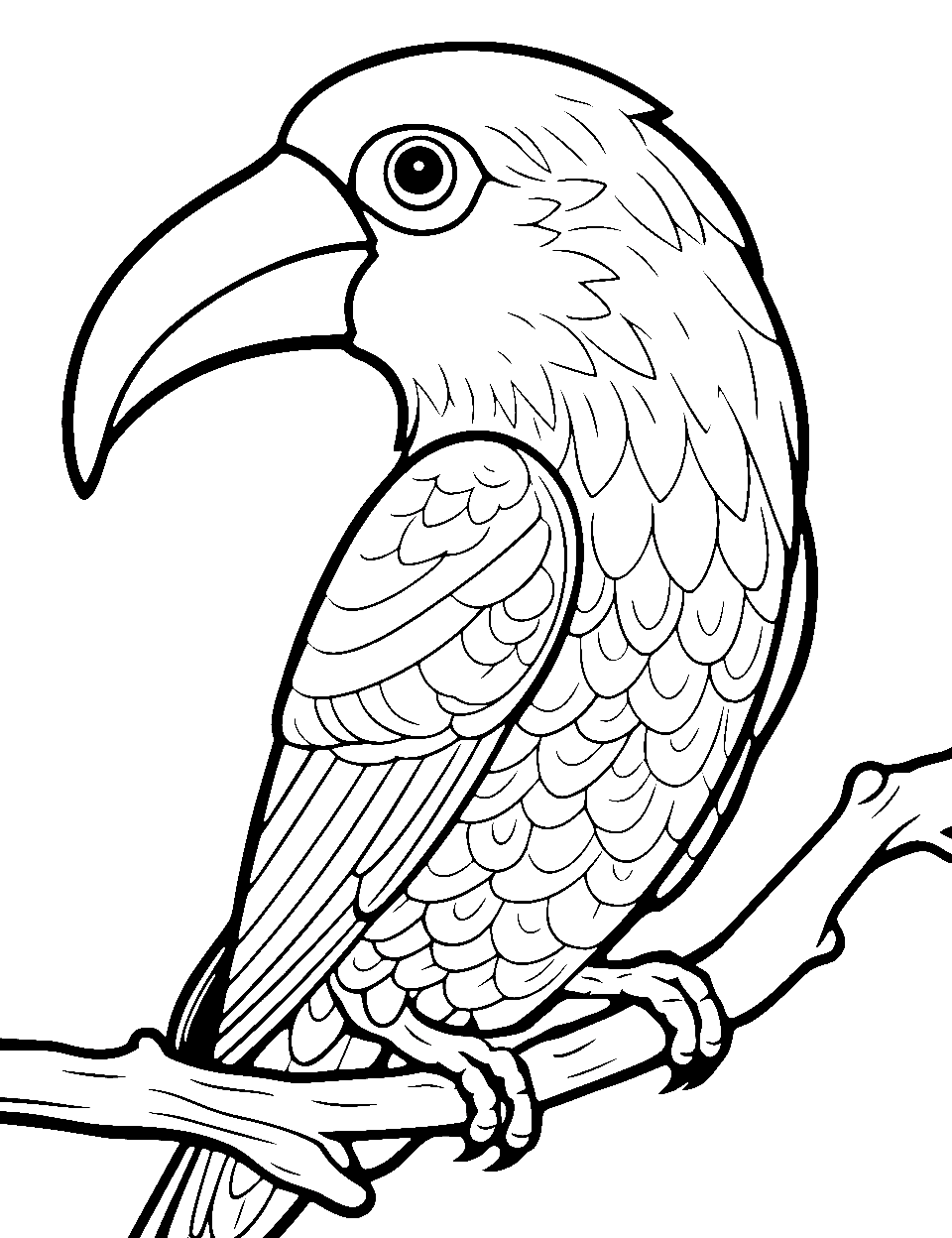 Toucan's Rainbow Beak Bird Coloring Page - A close-up of a toucan’s vibrant, multi-colored beak.