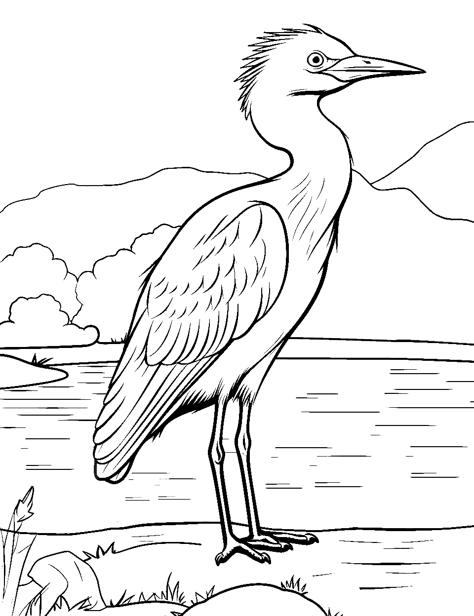 Crane by Water Bird Coloring Page - A crane is standing by the water, waiting for fish to swim by.