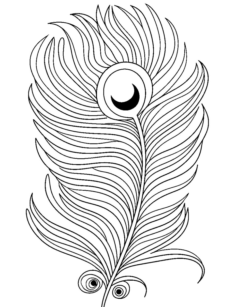 Peacock's Feathered Fan Coloring Page - A close-up of the intricate design of a peacock’s tail feather.