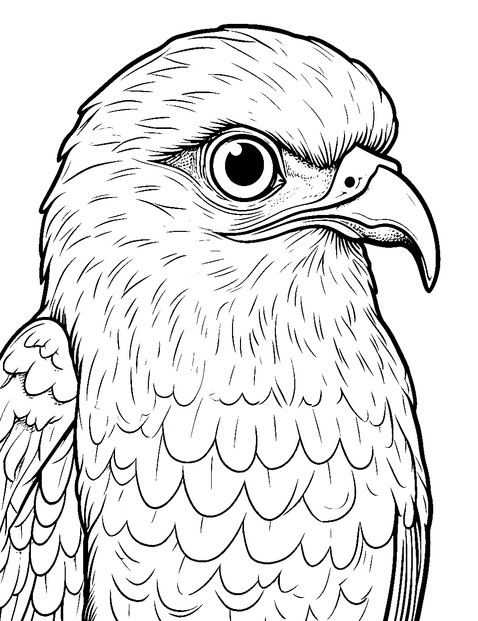 Falcon's Piercing Gaze Coloring Page - A close-up of a falcon’s intense eyes.