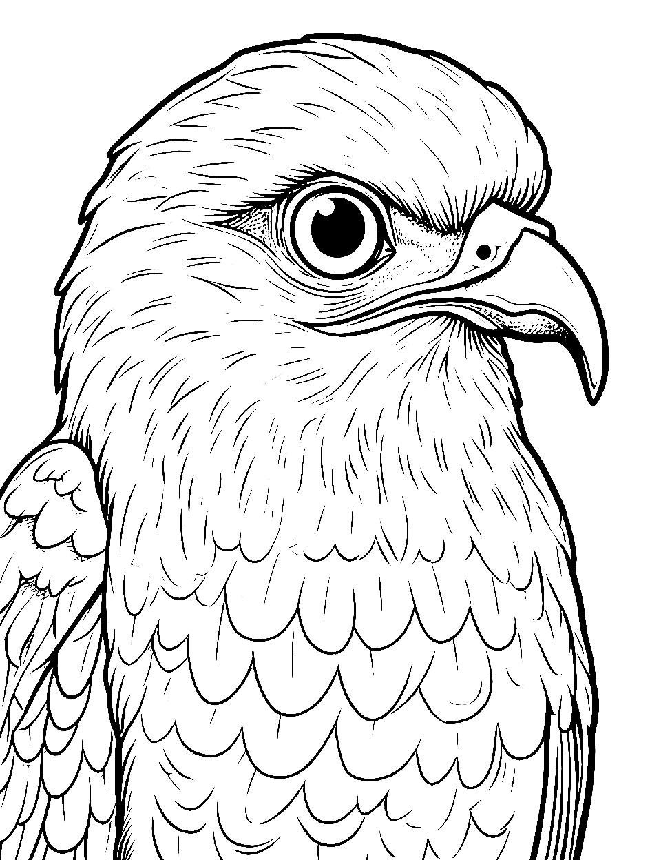 Falcon's Piercing Gaze Bird Coloring Page - A close-up of a falcon’s intense eyes.