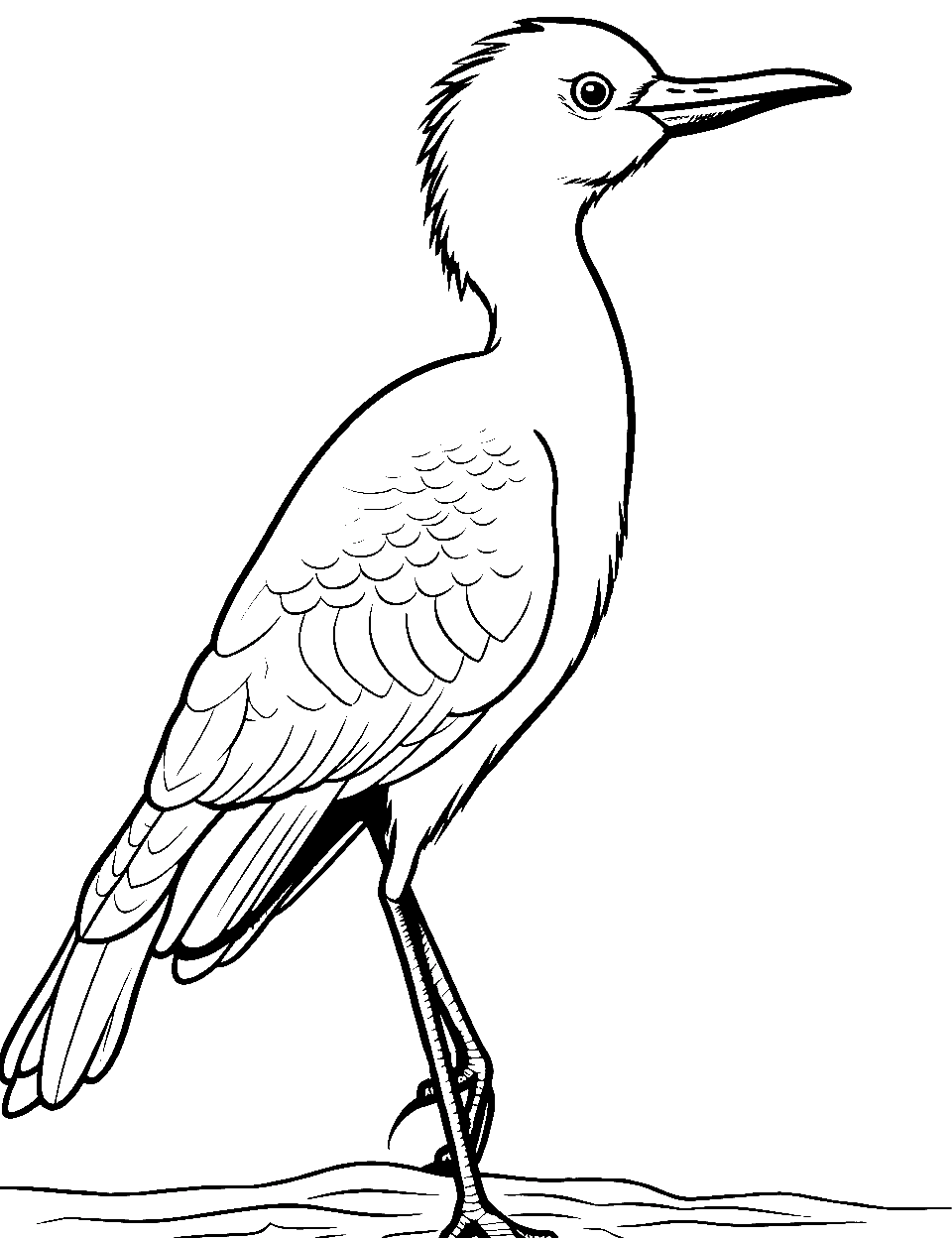 Crane's Evening Stroll Coloring Page - A crane taking a leisurely stroll in the evening.