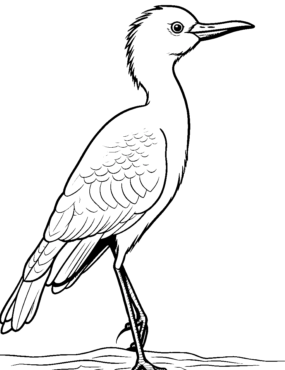 Crane's Evening Stroll Bird Coloring Page - A crane taking a leisurely stroll in the evening.