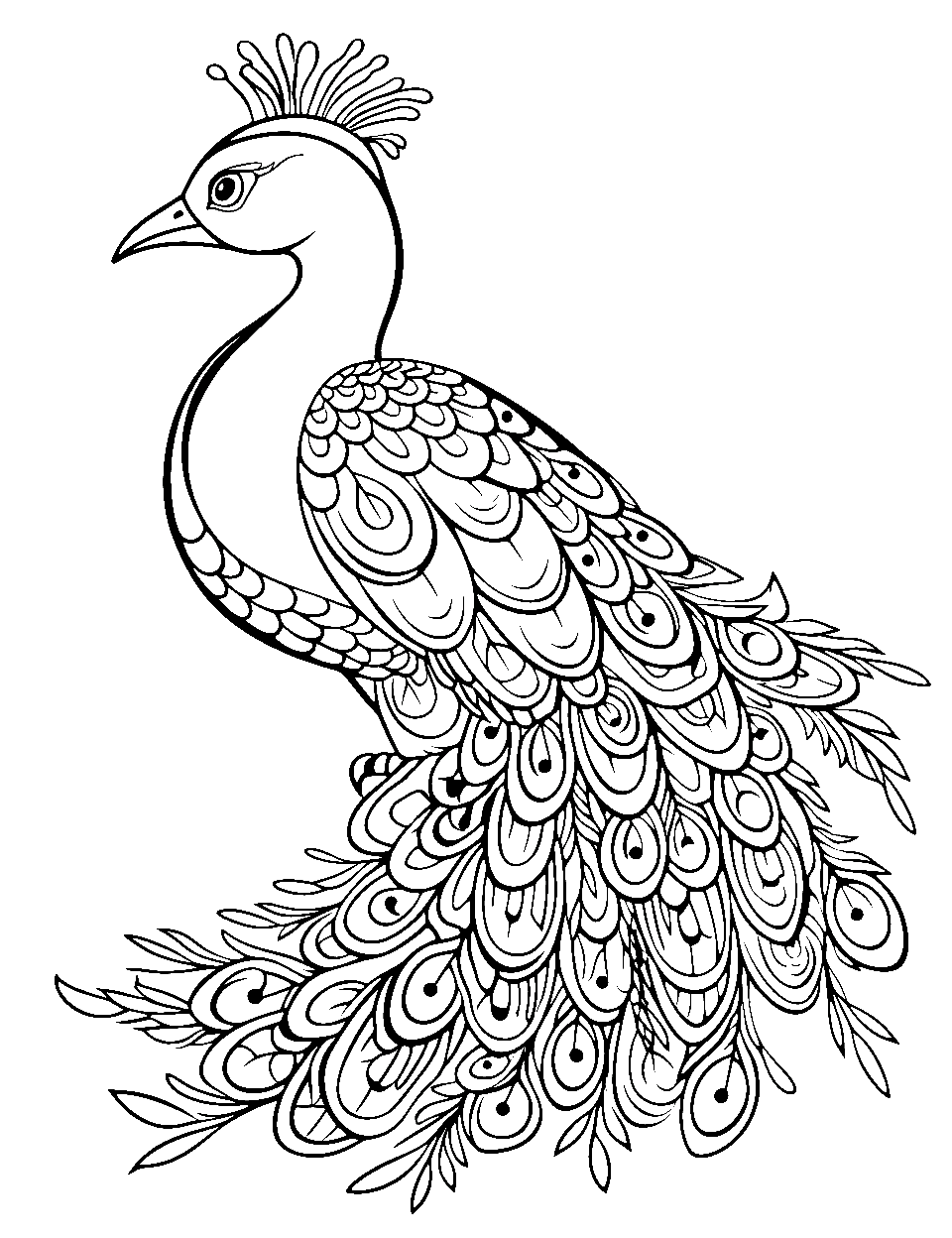 Peacock's Majestic Tail Bird Coloring Page - A proud peacock displaying its radiant tail feathers.