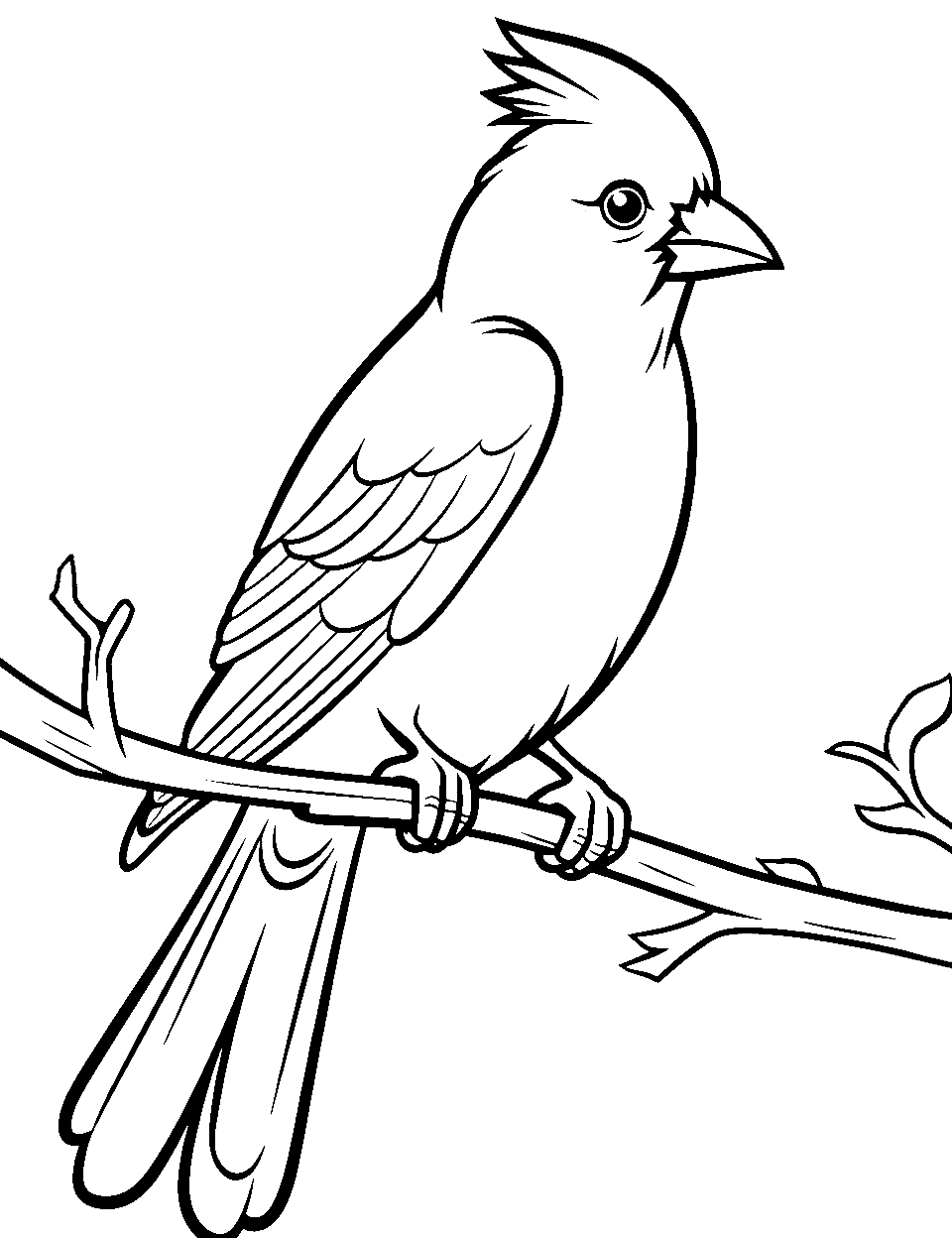 Cardinal on a Branch Coloring Page - A bright red cardinal contrasting on a branch.