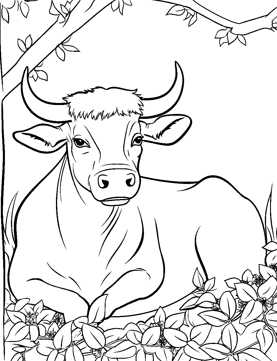 Cow Resting Coloring Page - A cow peacefully resting in a basic, easy-to-color field.