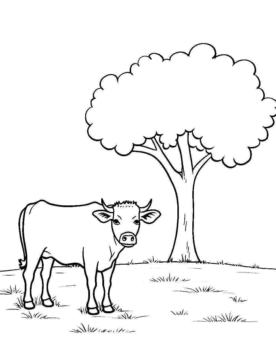 Cow in a Clear Field Coloring Page - A lone cow serenely grazing in a clear field with a single tree in the backdrop.