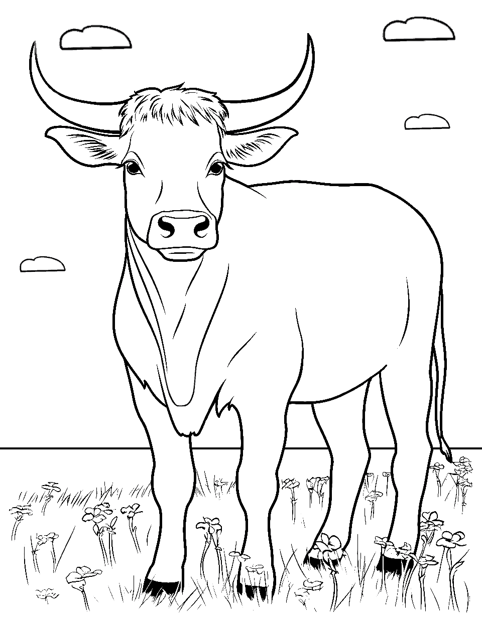Bull in the Meadow Coloring Page - A sturdy bull standing boldly in a serene grassy meadow.